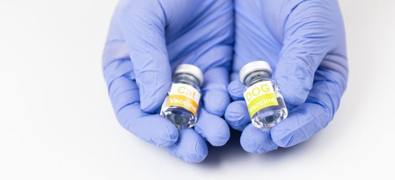 インドが挑む多様性社会における感染症対策と医療発展への道筋